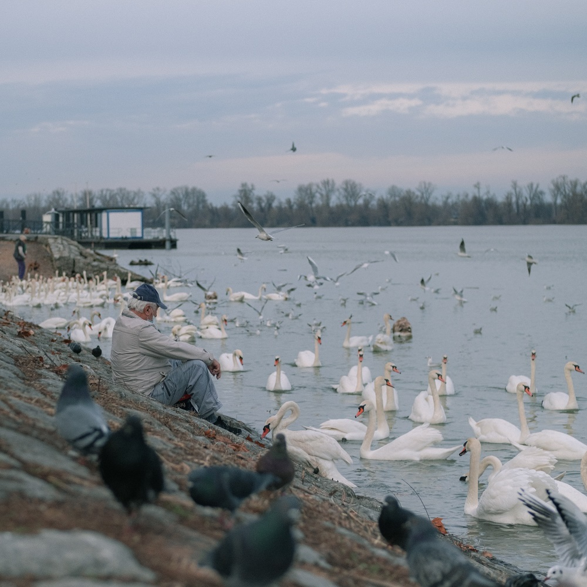 Januar na Dunavu