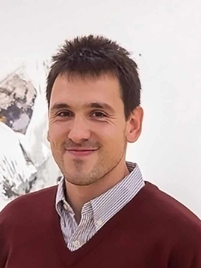 Goran Mitić, umetnik