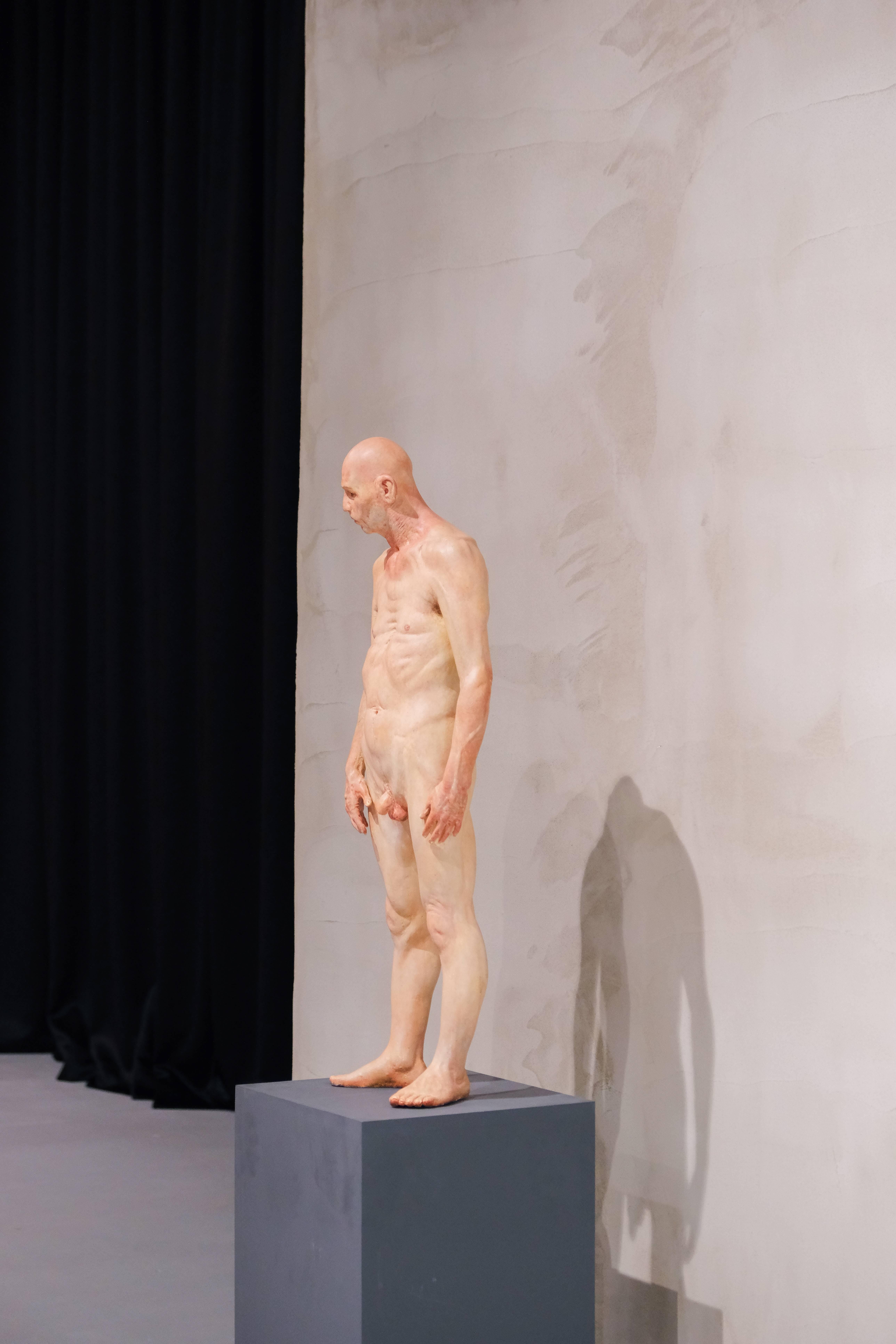 Skulptura Despodency, umetnik Žarko Bašeski