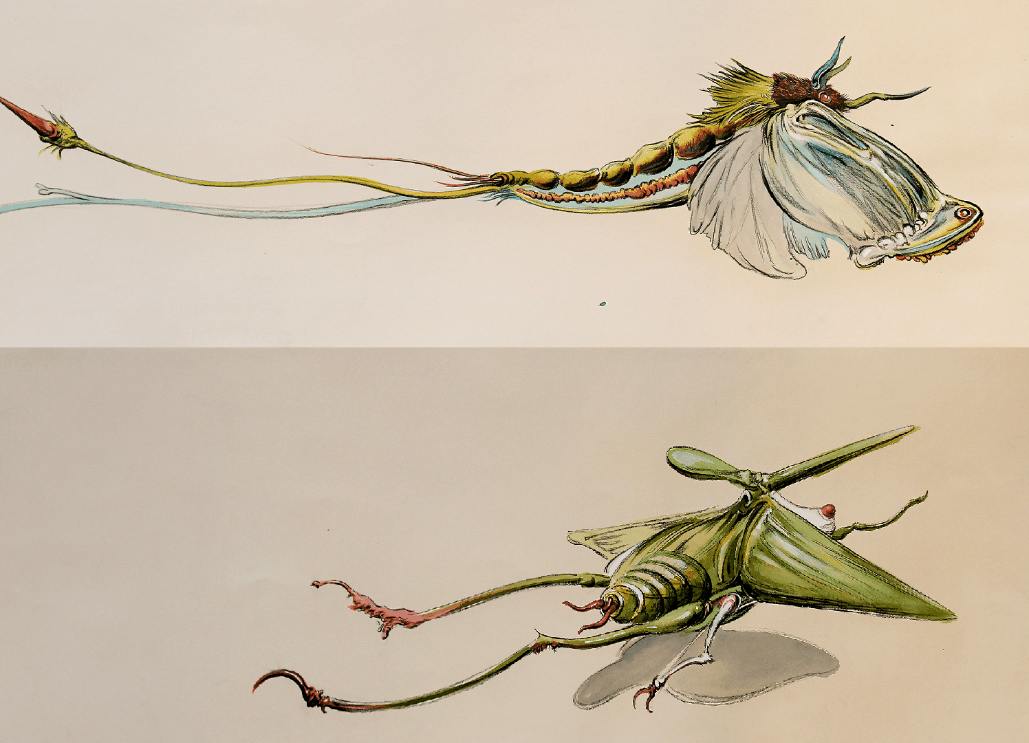 The moth 6, Vladimir Lalić, ugalj i mastilo na papiru