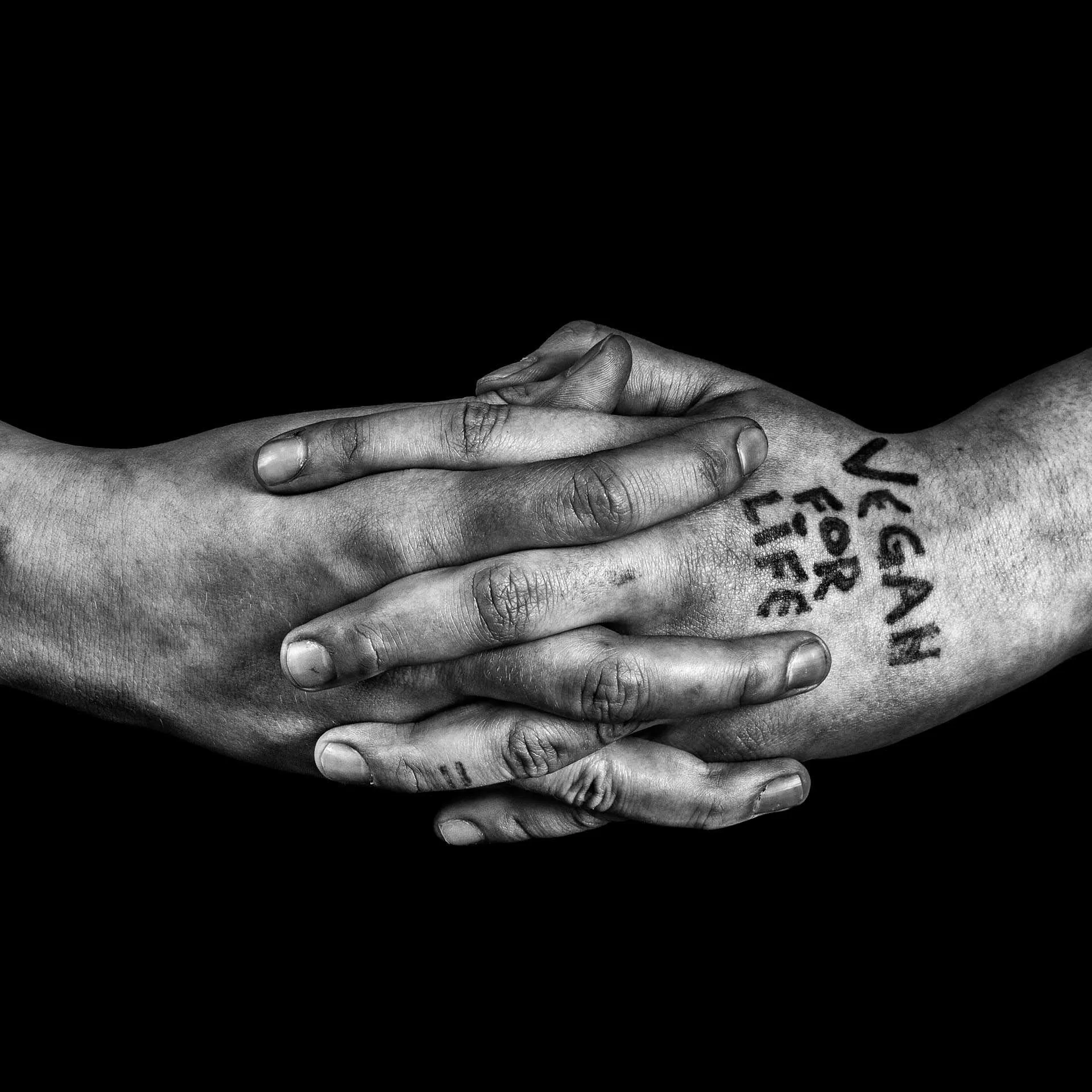 Activist, Igor Mandić, fotografija