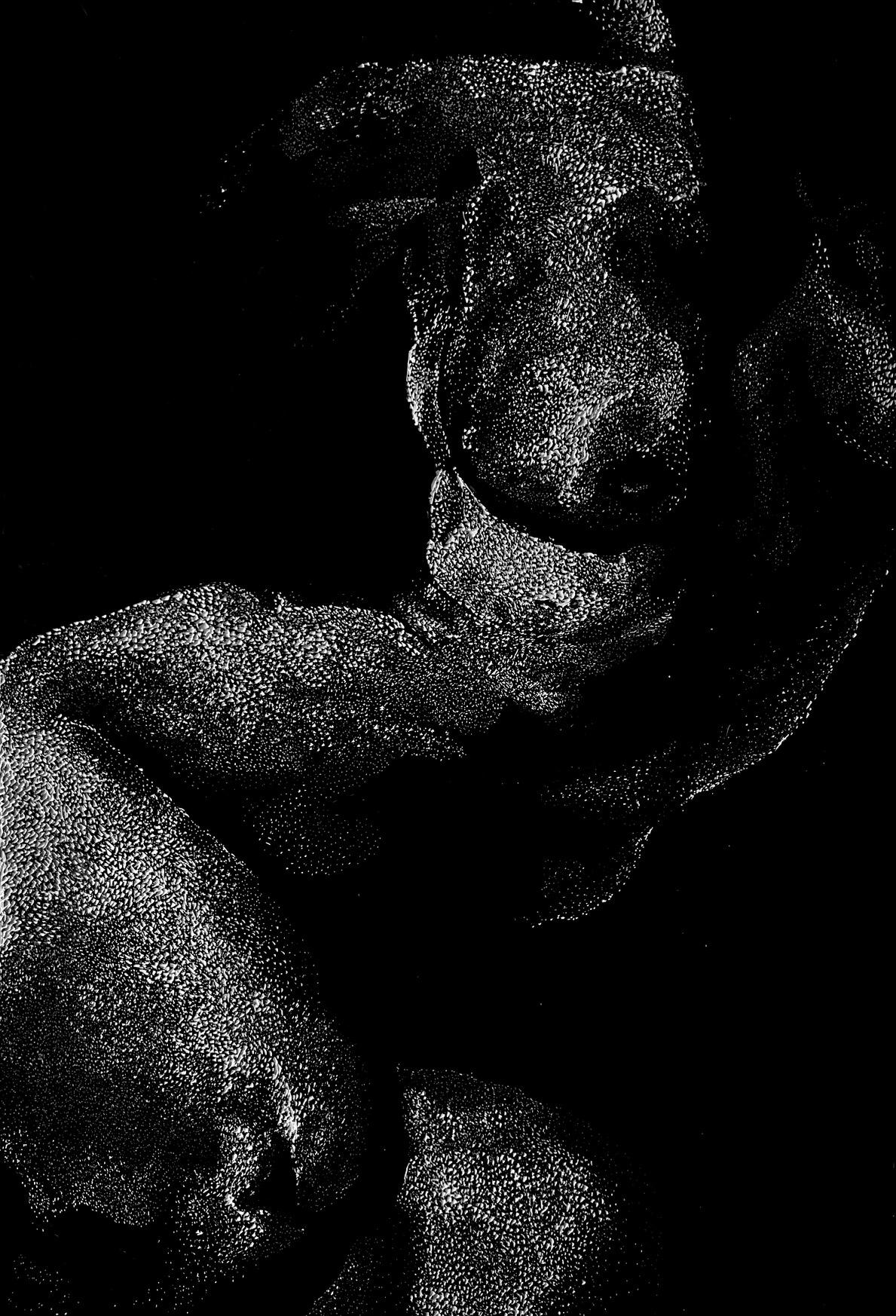Corpo vol 2, Anja Dimitrijević, linorez