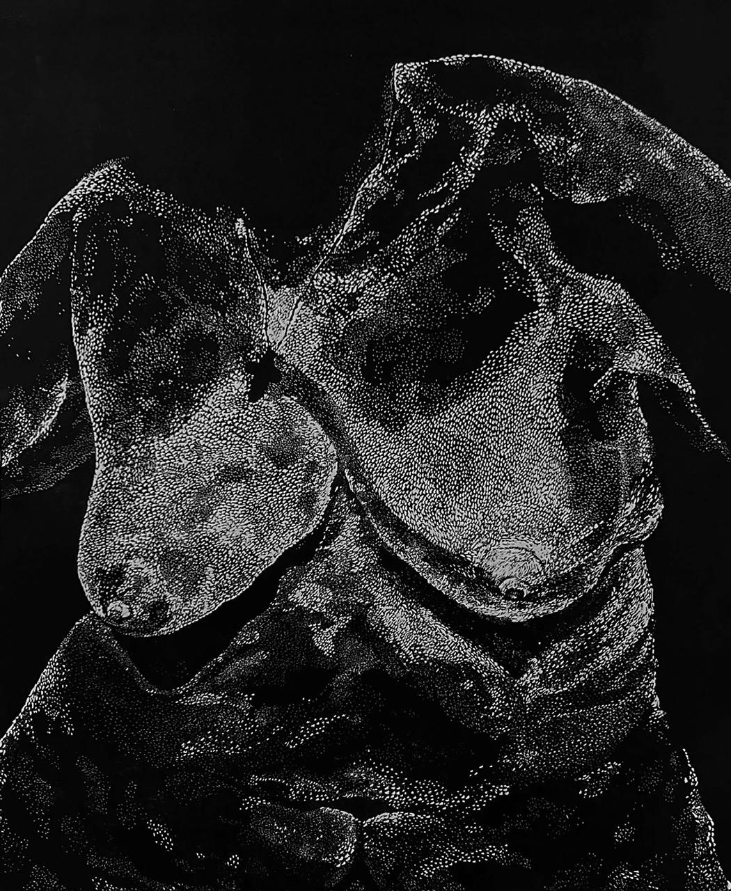 Anno Domini, Anja Dimitrijević, linorez