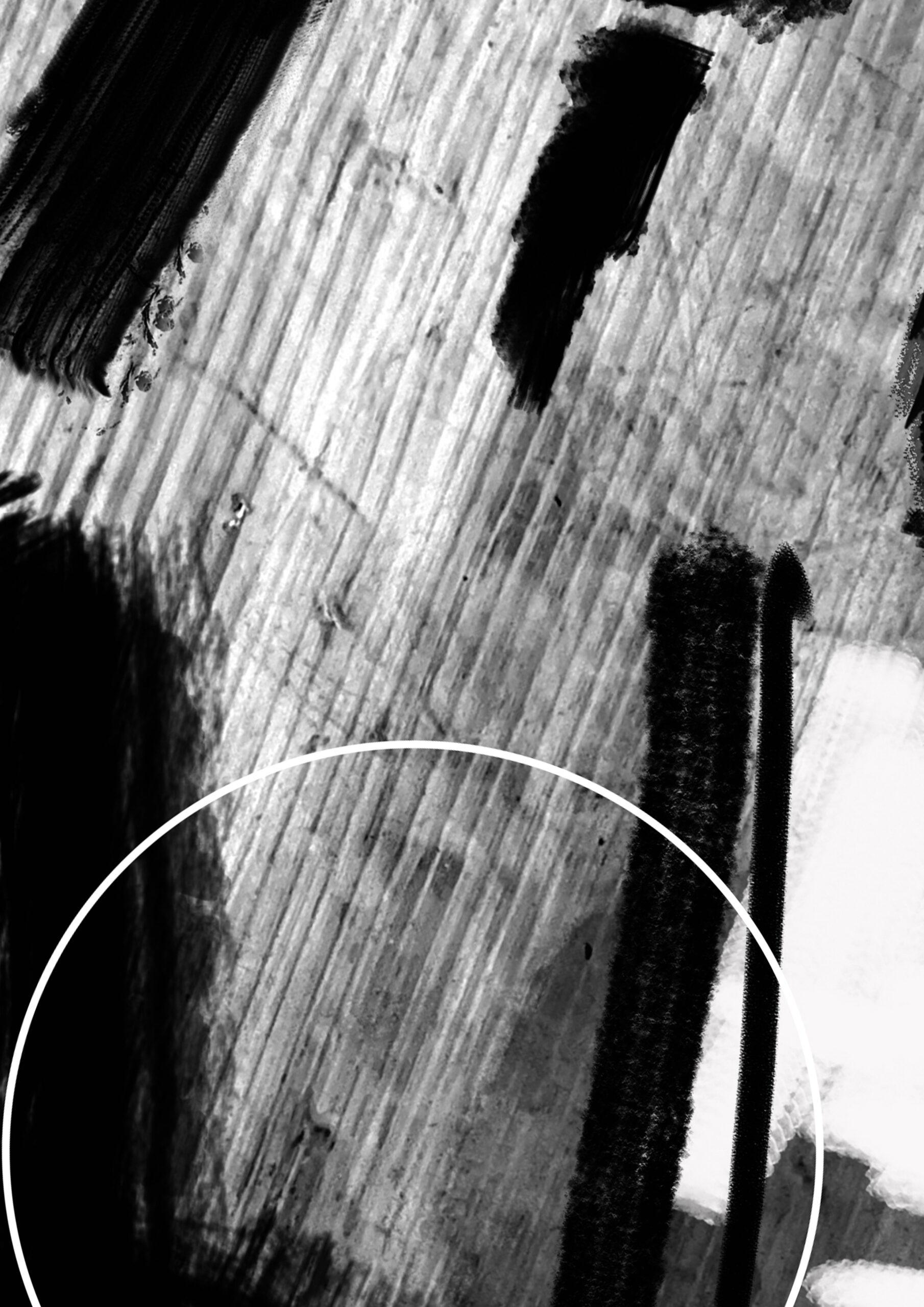 Diskolacija (Fragment I), Andrijana Krstić