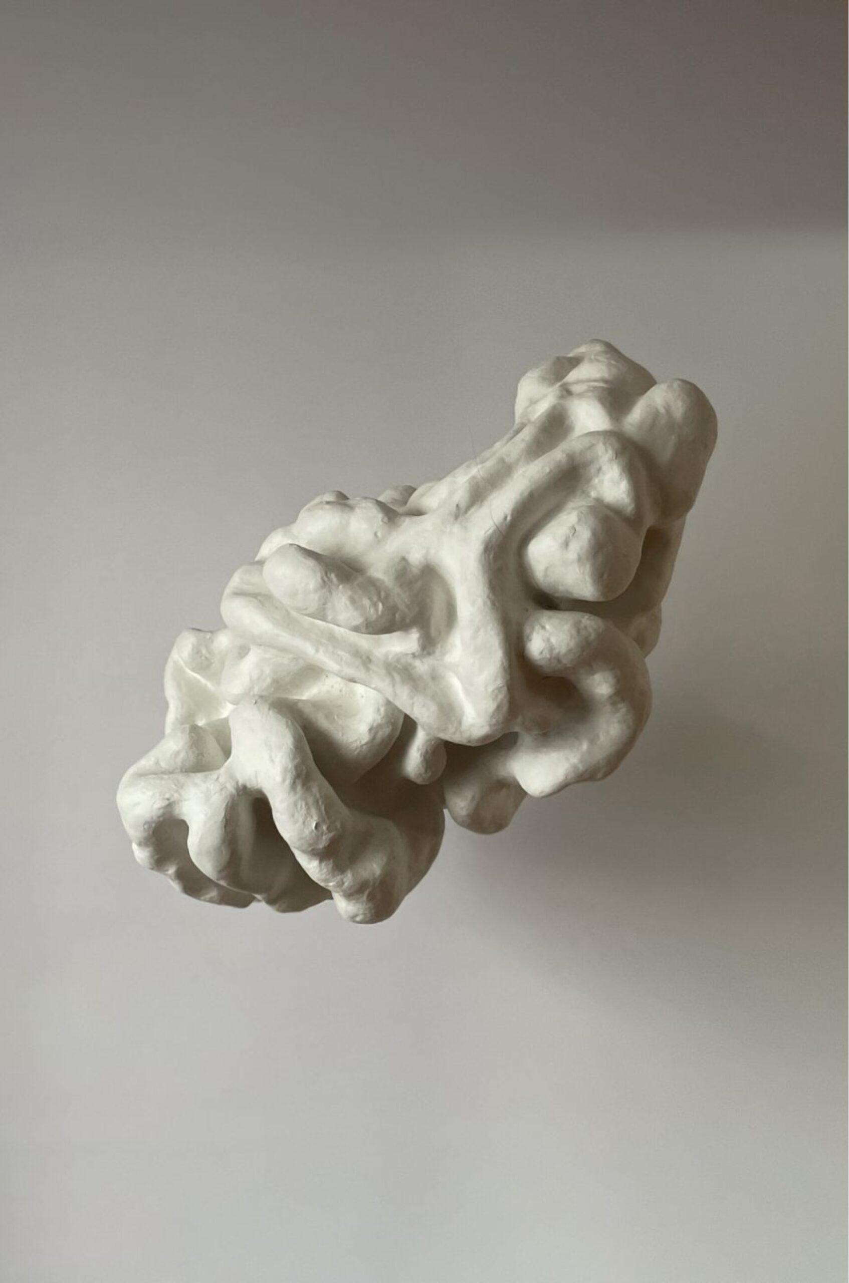 Common Form no.3, Nikola Lajić, skulptura